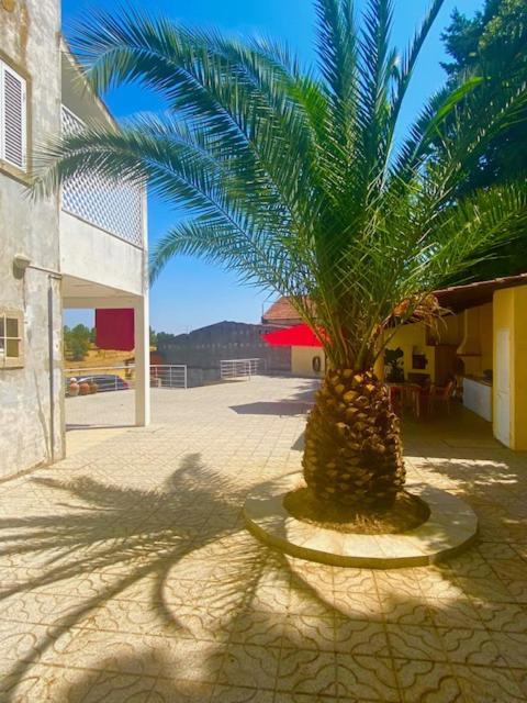 1955 Guest House Cebolais de Cima Exterior foto
